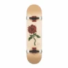 Globe G2 Bloom 8.0 Complete Komplettboard Skateboard Natural -Skateboard Förderung globe g2 bloom 80 complete komplettboard skateboard natural