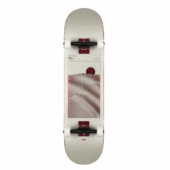 Globe G2 Parallel 8.0" Complete Komplettboard Skateboard Off White Foil Horizon